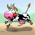Avatar Crazy_Cow
