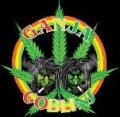 Avatar Cannabis